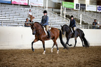 AHANC_Show18_SatPM_3567