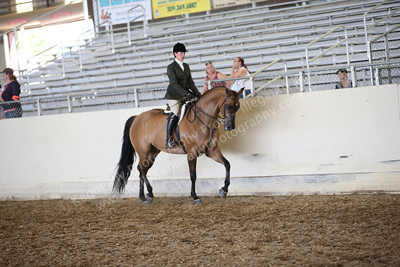 AHANC_Show18_SatPM_3584