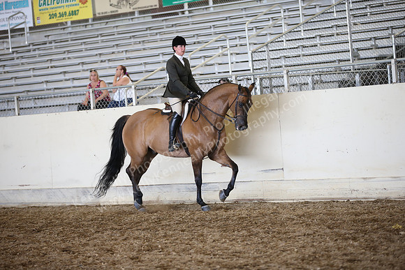 AHANC_Show18_SatPM_3585