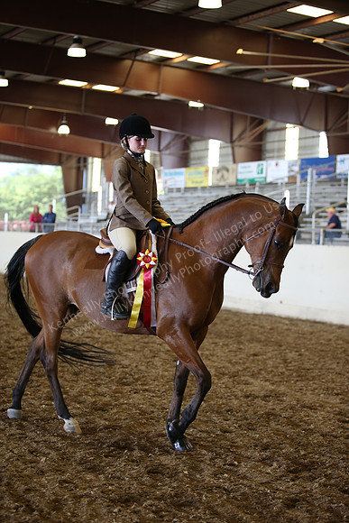 AHANC_Show18_SatPM_3539