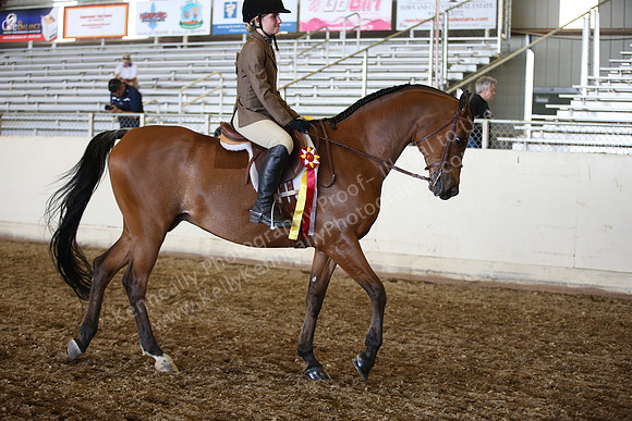 AHANC_Show18_SatPM_3540