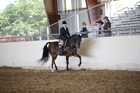 AHANC_Show18_SatPM_3587