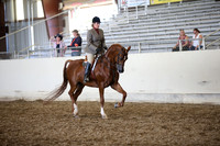 AHANC_Show18_SatPM_3593