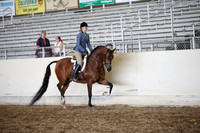 AHANC_Show18_SatPM_3598