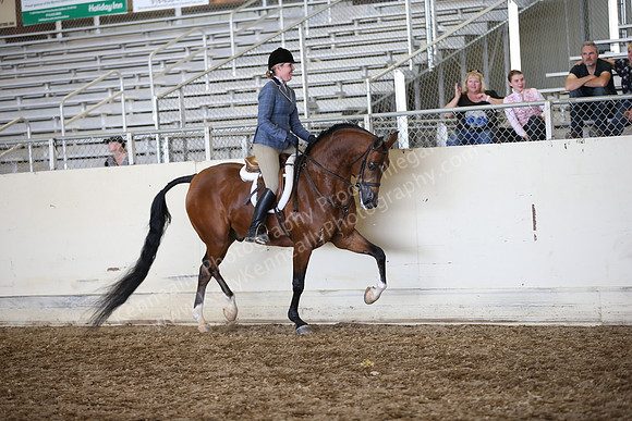 AHANC_Show18_SatPM_3599