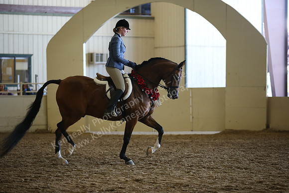 AHANC_Show18_SatPM_3610