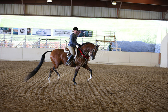 AHANC_Show18_SatPM_3611