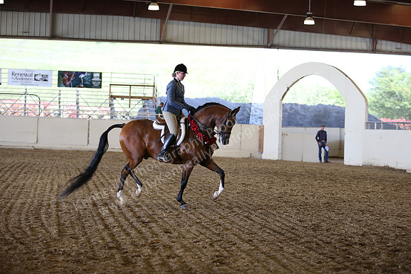 AHANC_Show18_SatPM_3612