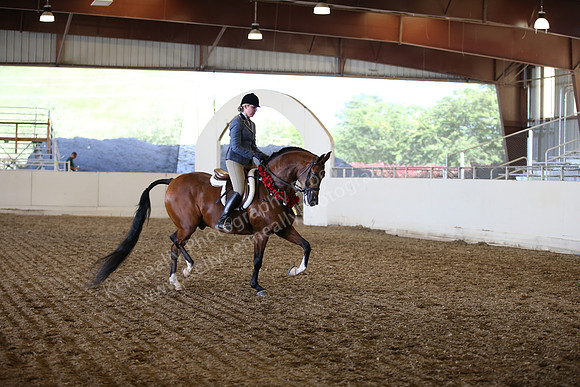 AHANC_Show18_SatPM_3613
