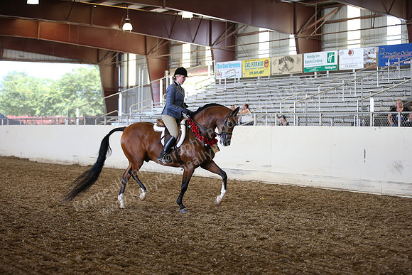 AHANC_Show18_SatPM_3614