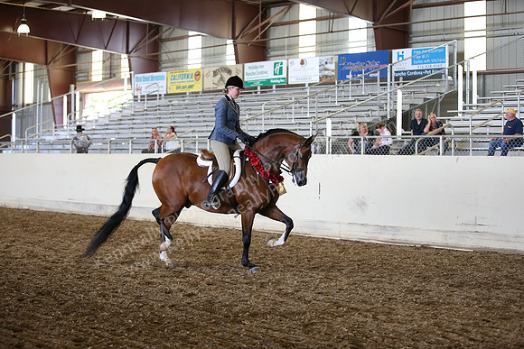 AHANC_Show18_SatPM_3615