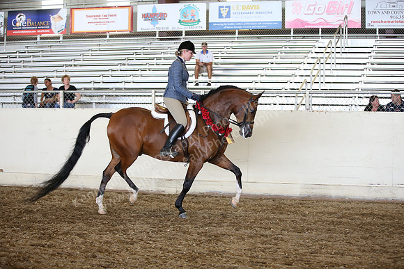 AHANC_Show18_SatPM_3618