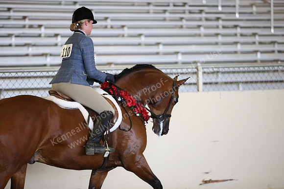 AHANC_Show18_SatPM_3622