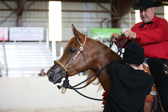 AHANC_Show18_SatPM_3648