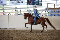 Class 127 HA/AA Country English Pl AATR Champ