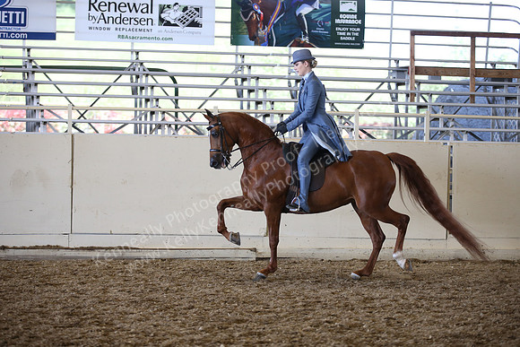 AHANC_Show18_SatPM_3669