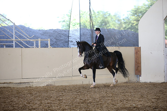 AHANC_Show18_SatPM_3670