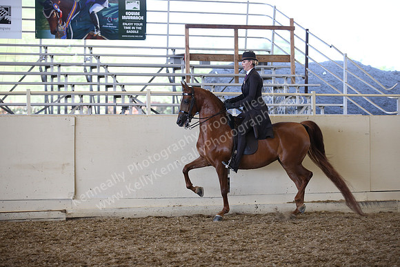 AHANC_Show18_SatPM_3674