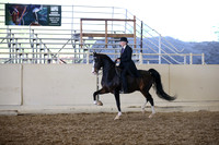 AHANC_Show18_SatPM_3671