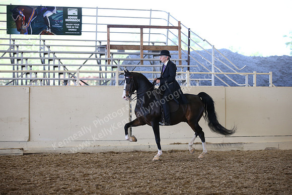 AHANC_Show18_SatPM_3671