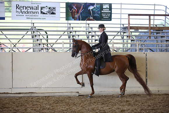 AHANC_Show18_SatPM_3675