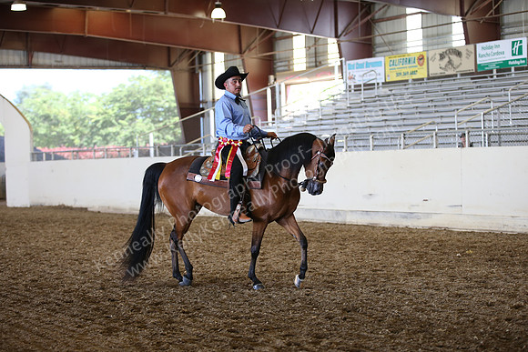 AHANC_Show18_SatPM_3659