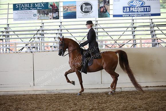 AHANC_Show18_SatPM_3677