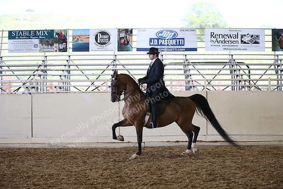 AHANC_Show18_SatPM_3682