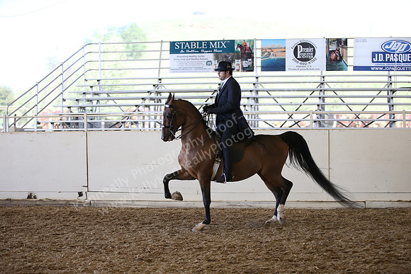 AHANC_Show18_SatPM_3683