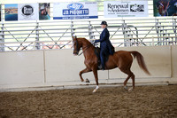AHANC_Show18_SatPM_3687
