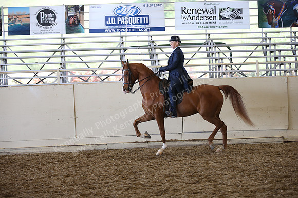 AHANC_Show18_SatPM_3687