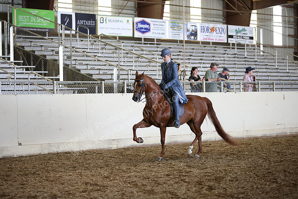 AHANC_Show18_SatPM_3690