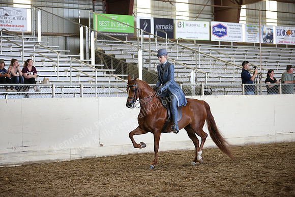 AHANC_Show18_SatPM_3691