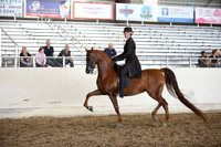 AHANC_Show18_SatPM_3694