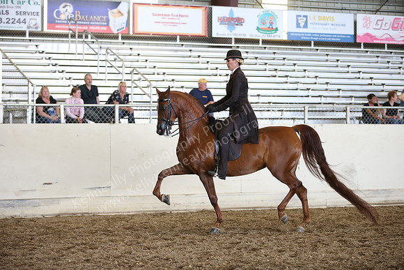 AHANC_Show18_SatPM_3694