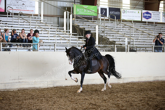 AHANC_Show18_SatPM_3699