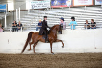 AHANC_Show18_SatPM_3700