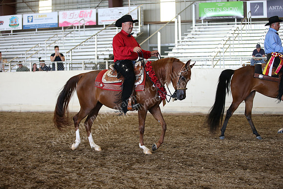 AHANC_Show18_SatPM_3666