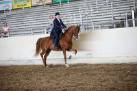 AHANC_Show18_SatPM_3704