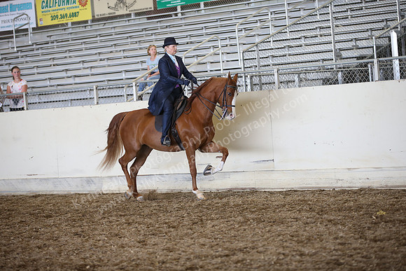 AHANC_Show18_SatPM_3704