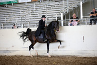 AHANC_Show18_SatPM_3716