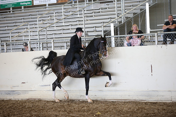 AHANC_Show18_SatPM_3716