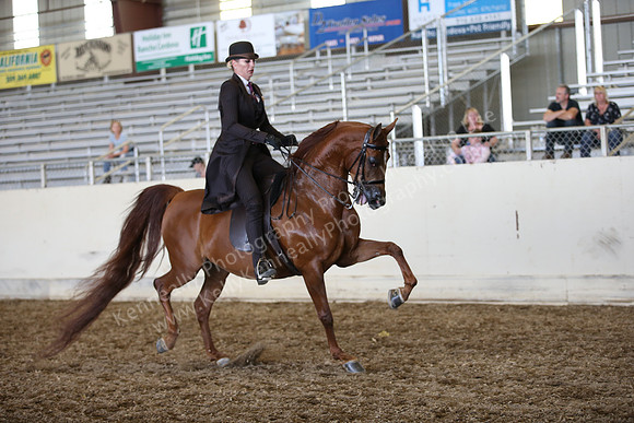 AHANC_Show18_SatPM_3721