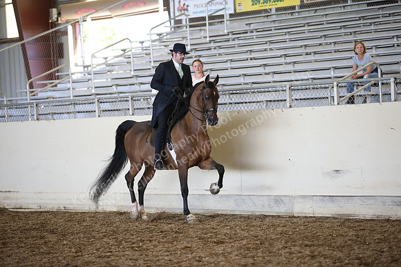 AHANC_Show18_SatPM_3725
