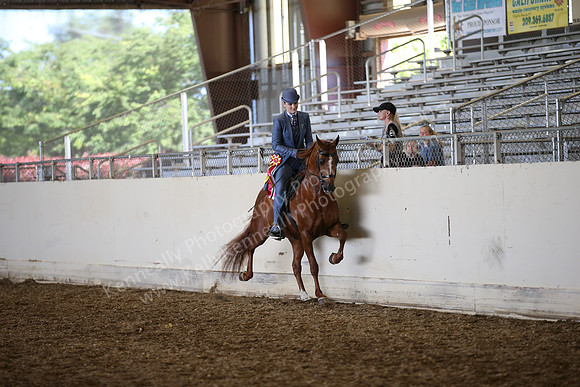 AHANC_Show18_SatPM_3736