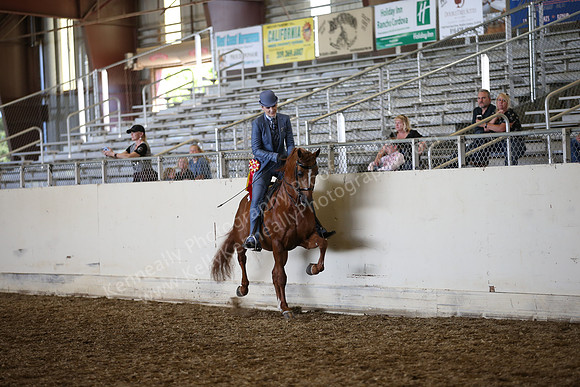 AHANC_Show18_SatPM_3738