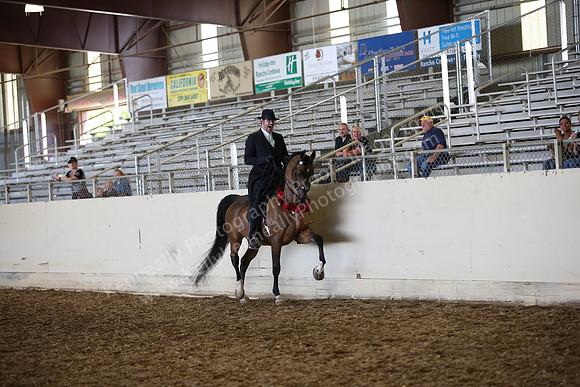 AHANC_Show18_SatPM_3754