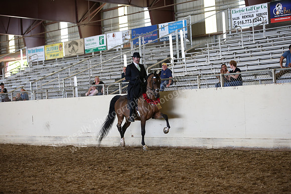 AHANC_Show18_SatPM_3755