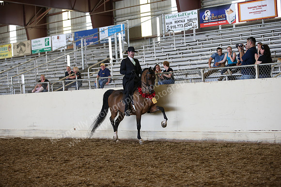 AHANC_Show18_SatPM_3756