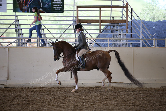 AHANC_Show18_SatPM_3762